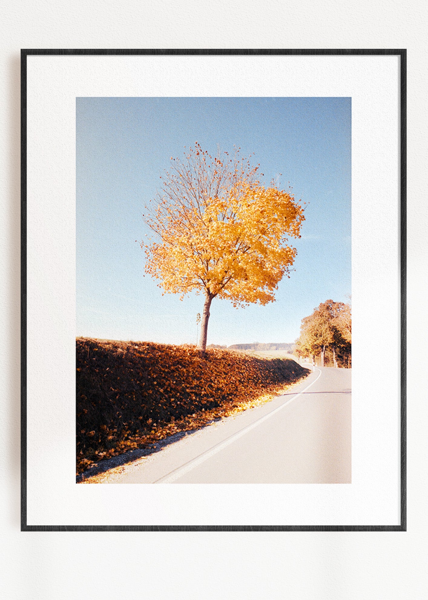 Gerahmter Kunstdruck "Herbstbaum"