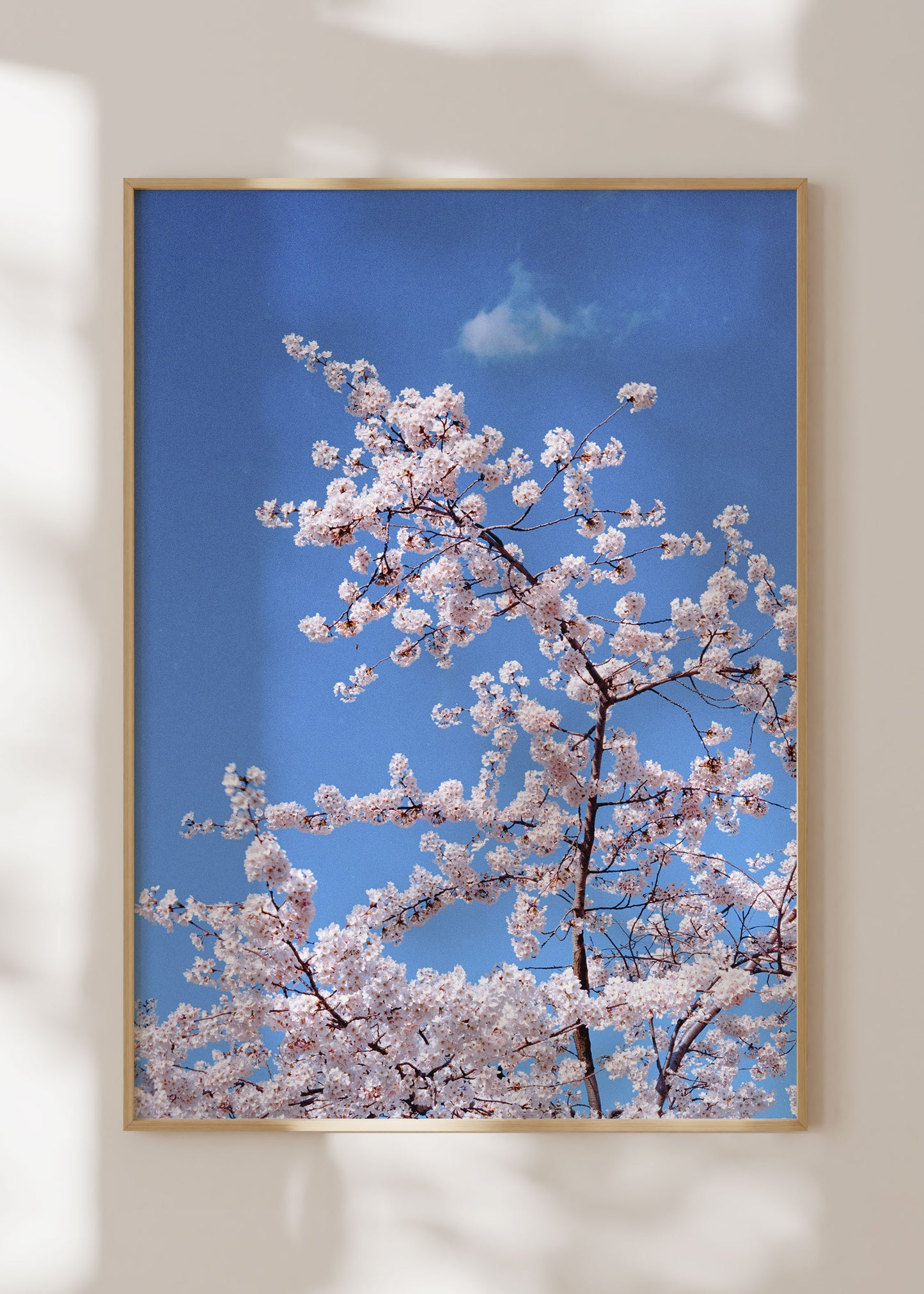 Gerahmter Kunstdruck "Blüte"