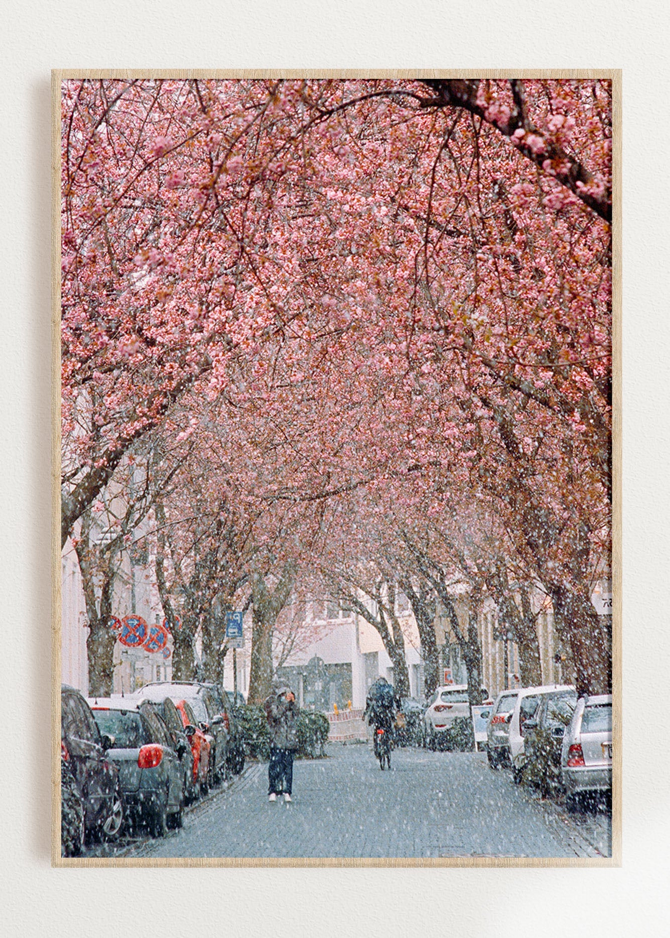 Gerahmter Kunstdruck "Kirschblüte Bonn 1"