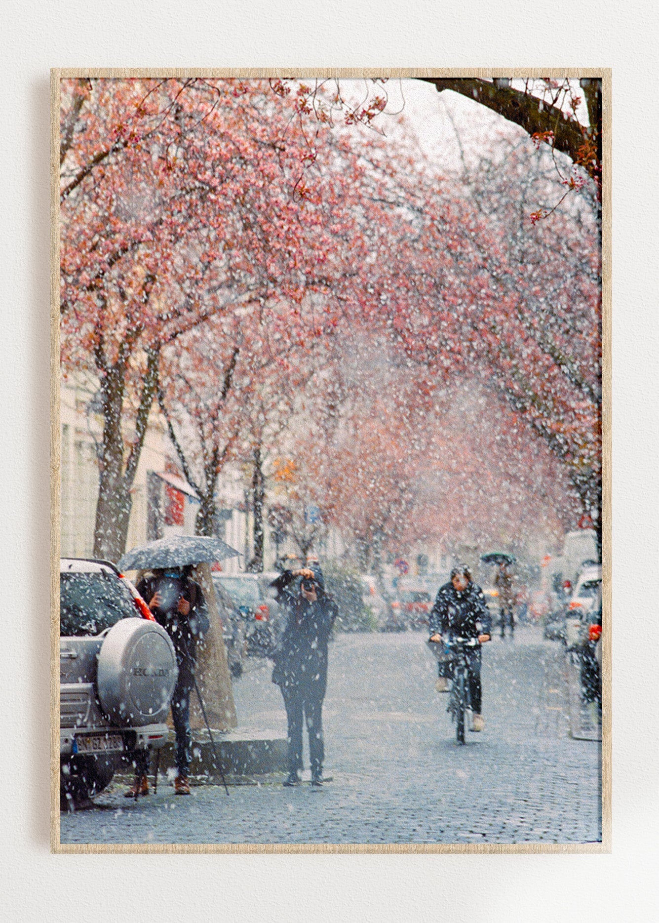 Gerahmter Kunstdruck "Kirschblüte Bonn 2"