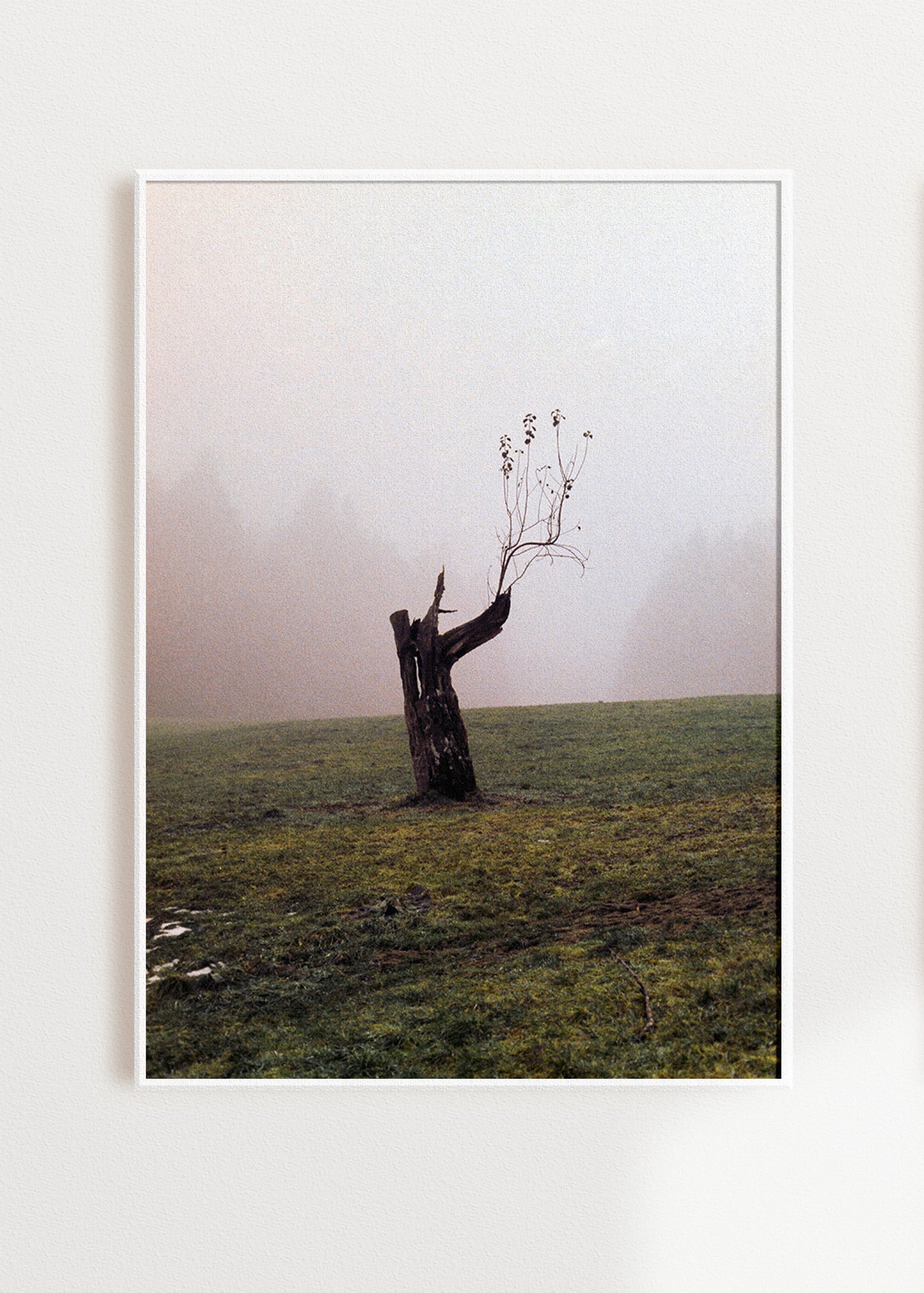 Gerahmter Kunstdruck "Baum"