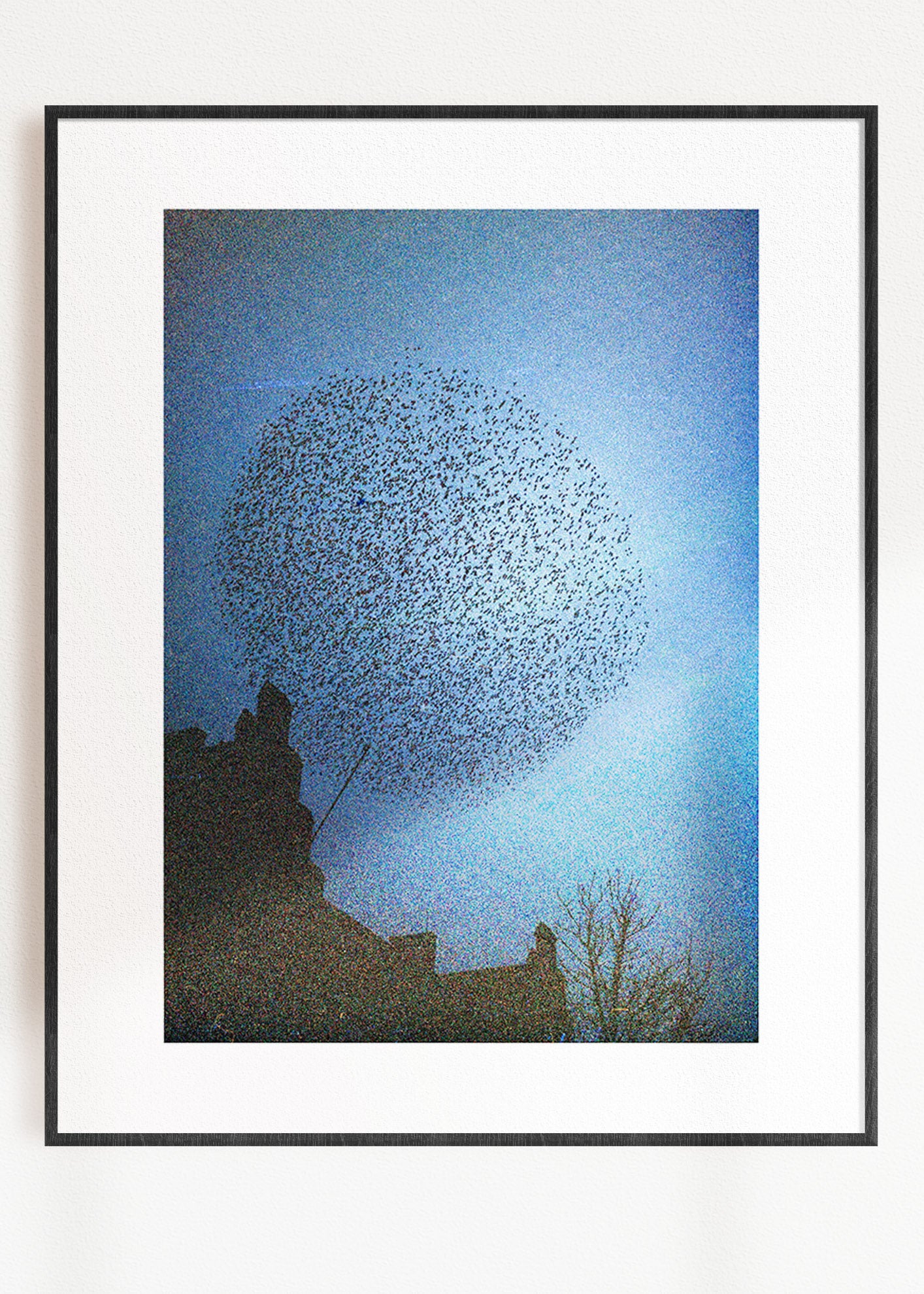 Gerahmter Kunstdruck "Murmuration"
