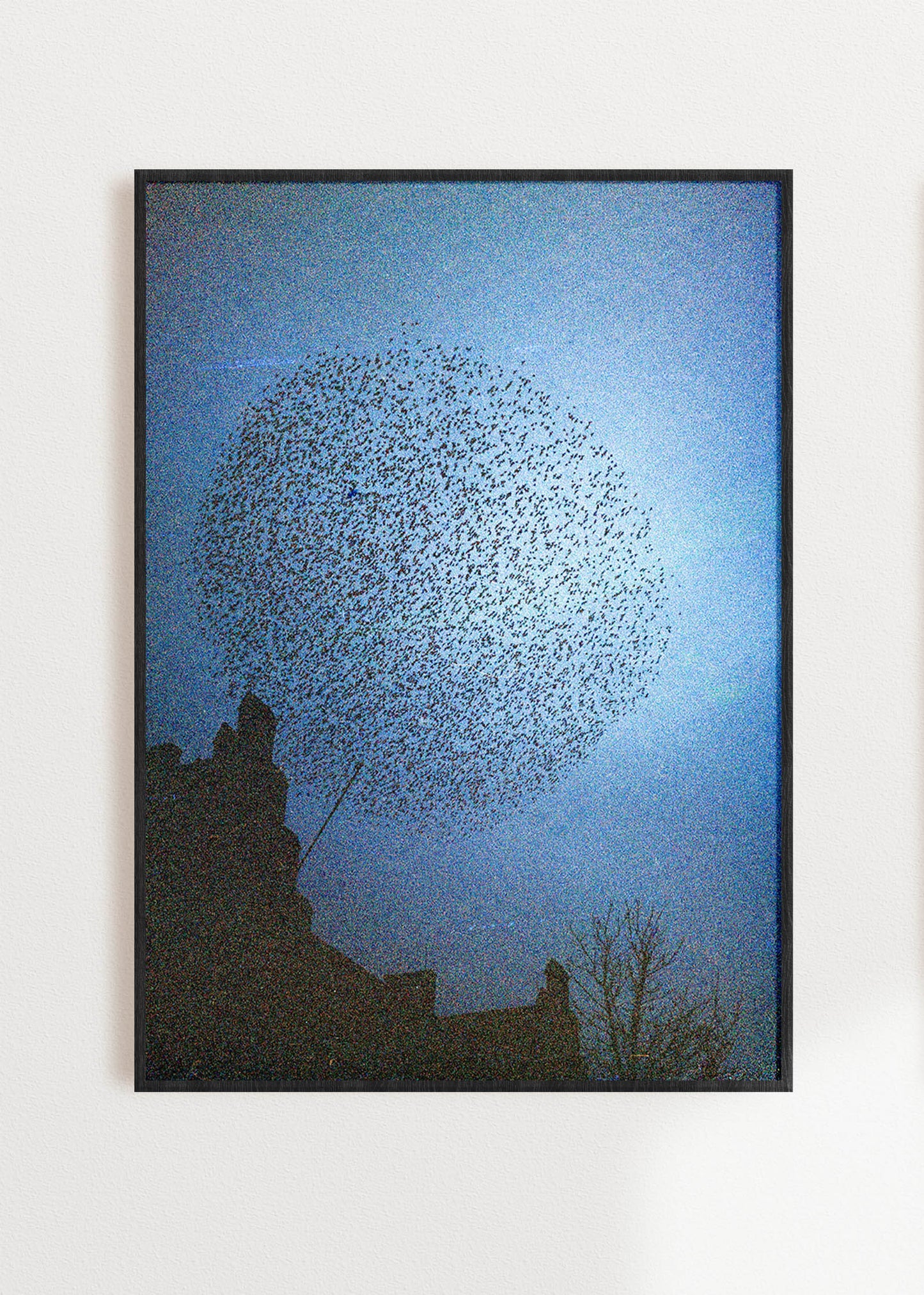 Gerahmter Kunstdruck "Murmuration"