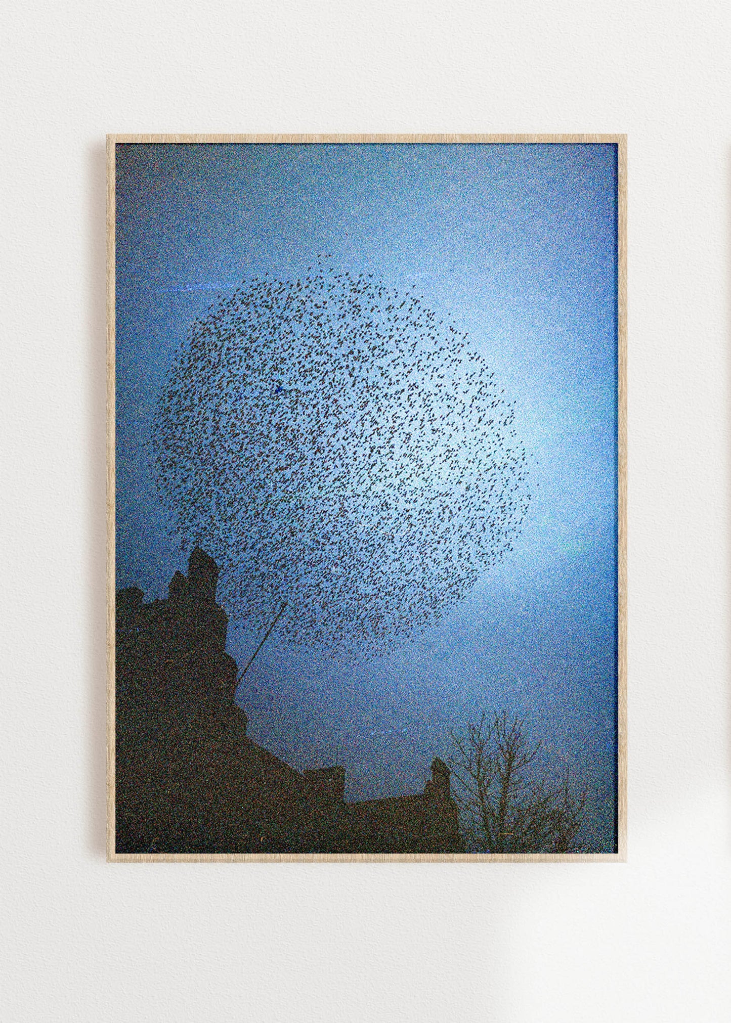 Gerahmter Kunstdruck "Murmuration"