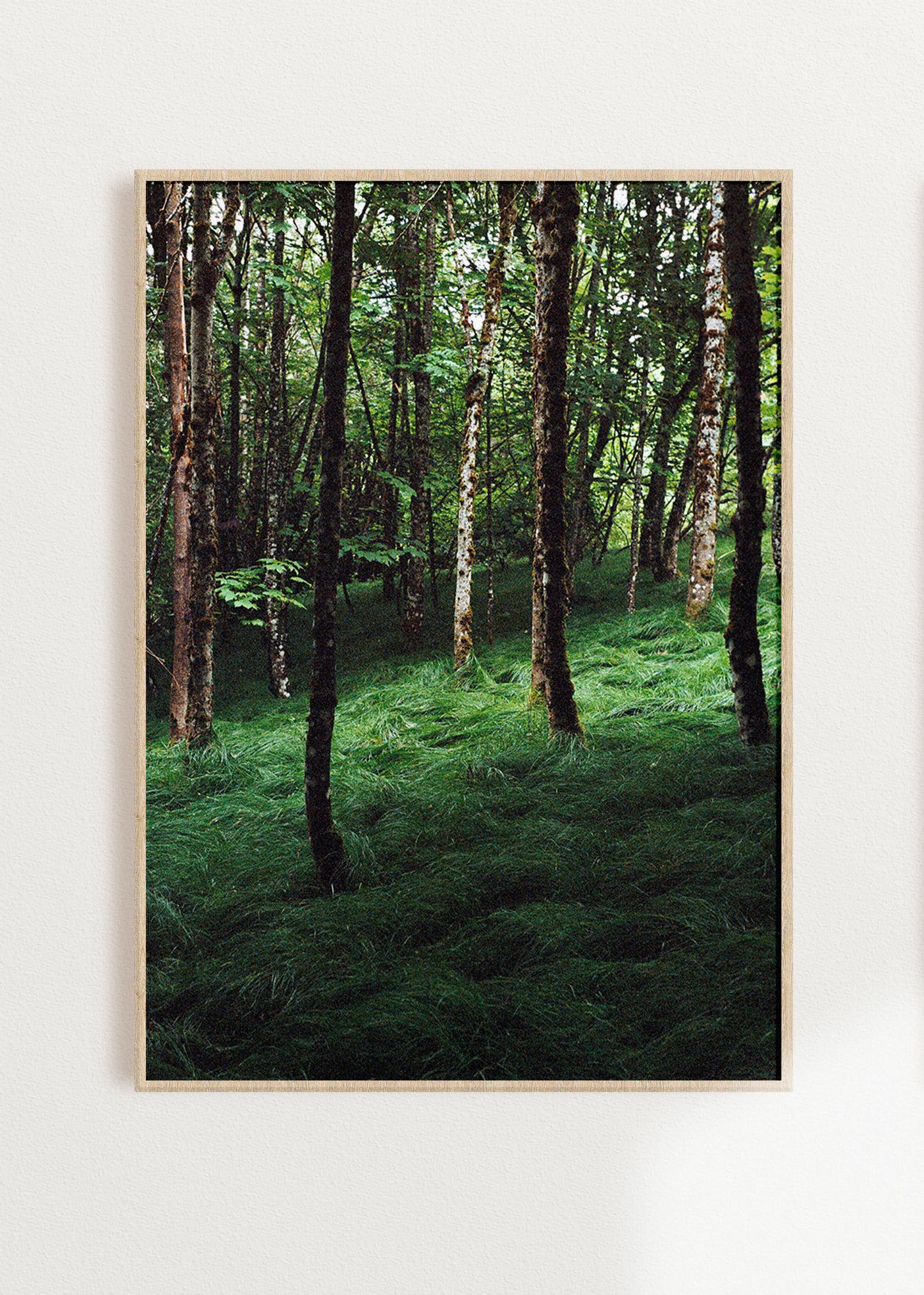 Gerahmter Kunstdruck "Verwunschener Wald 1"