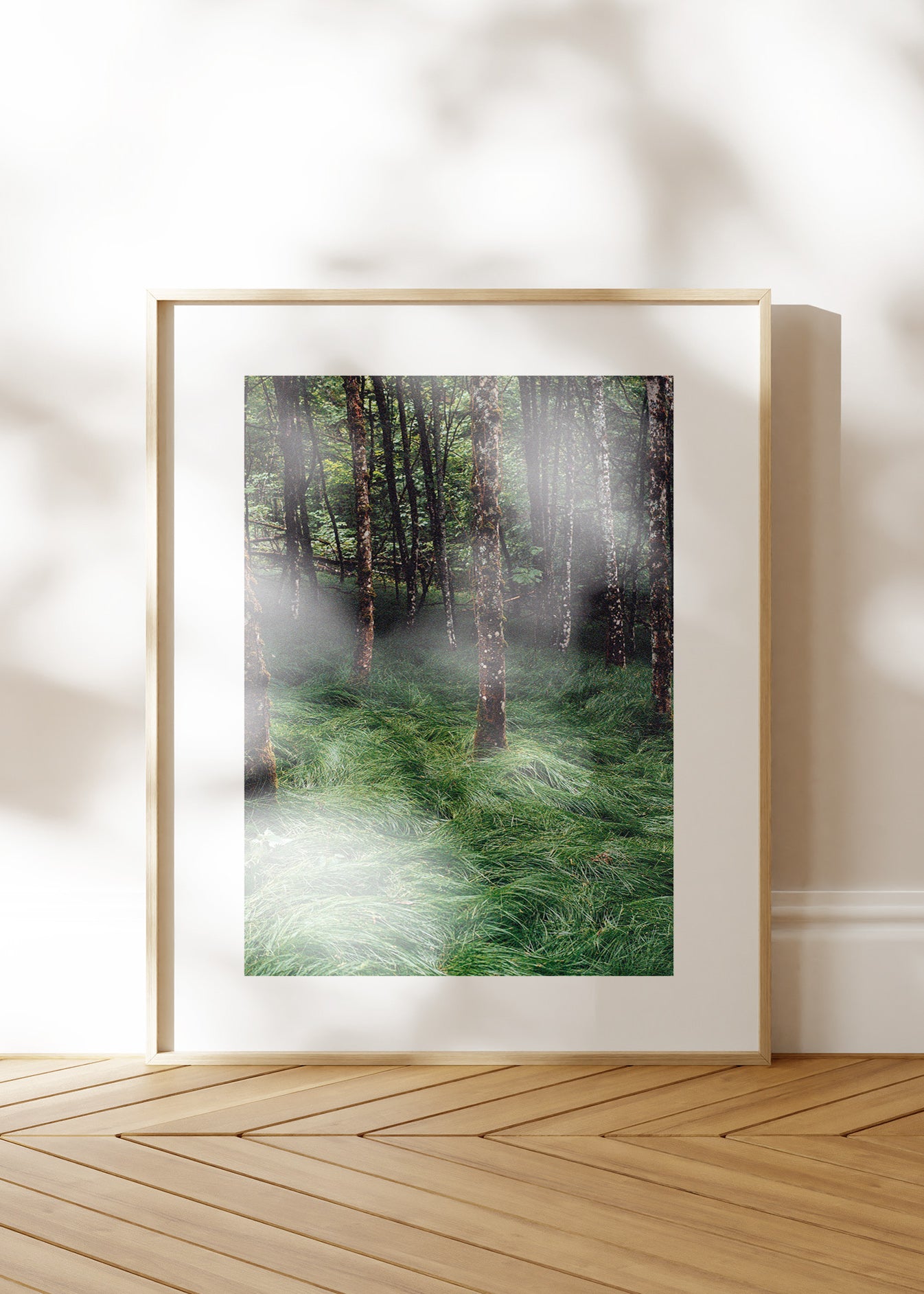 Gerahmter Kunstdruck "Verwunschener Wald 2"