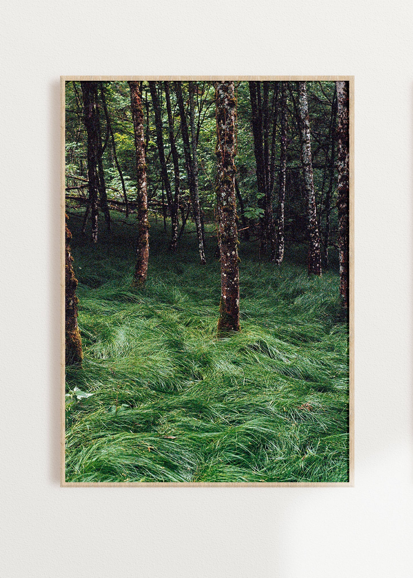 Gerahmter Kunstdruck "Verwunschener Wald 2"