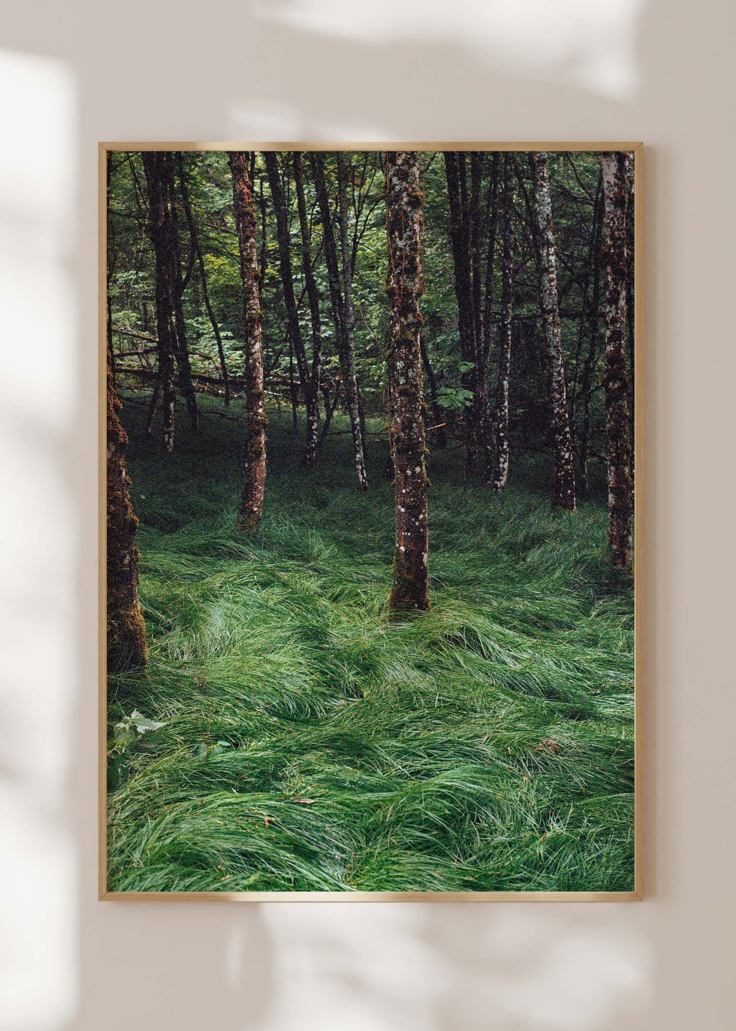 Gerahmter Kunstdruck "Verwunschener Wald 2"
