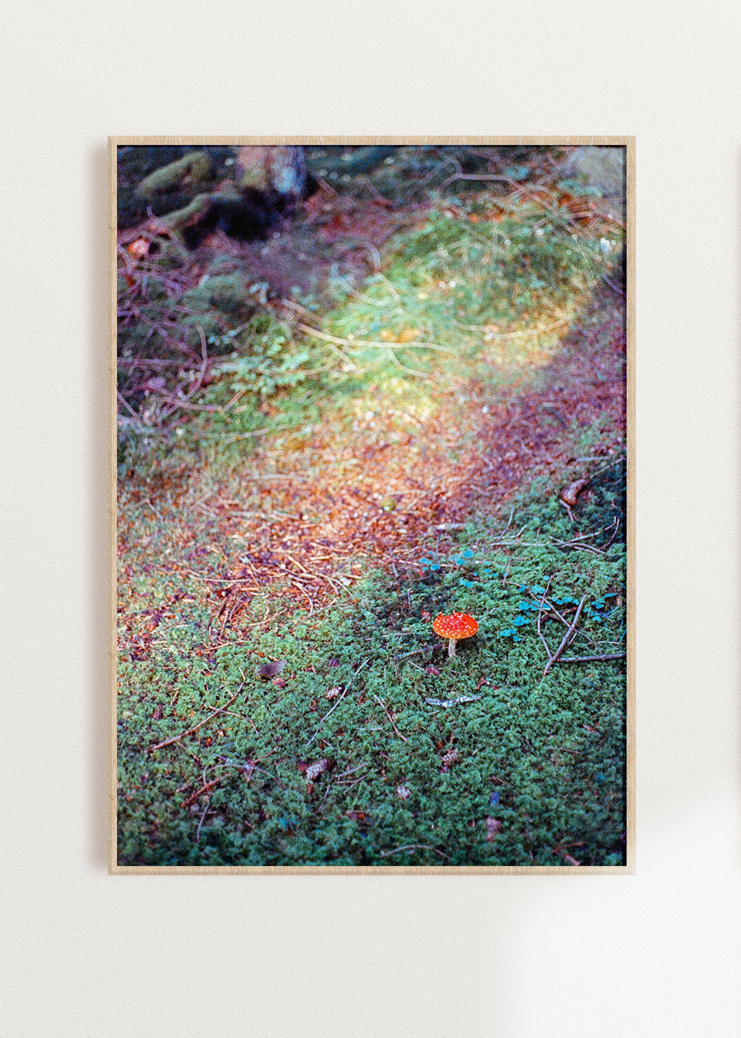 Gerahmter Kunstdruck "Schwamma"