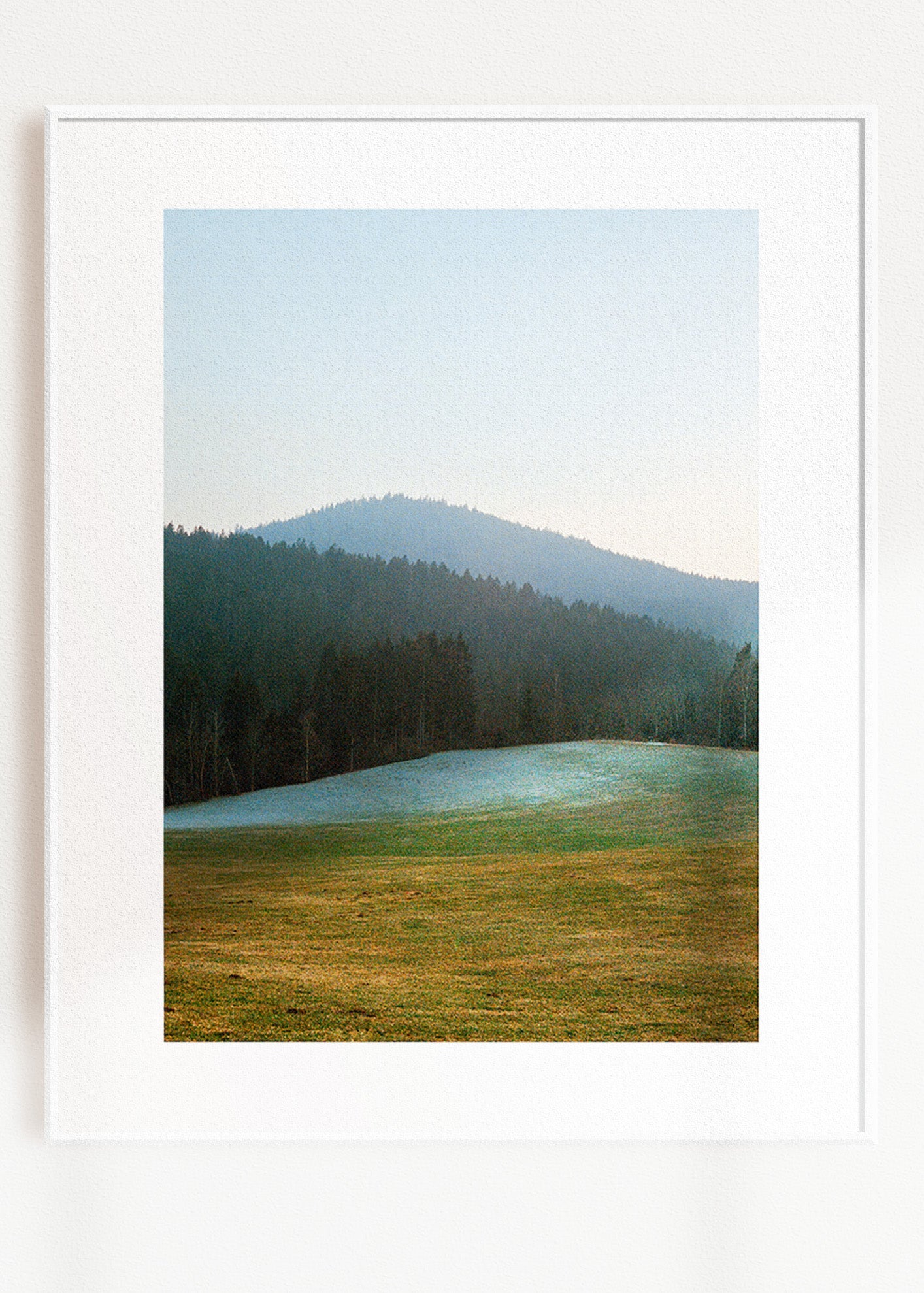 Gerahmter Kunstdruck "Wald, Linien"