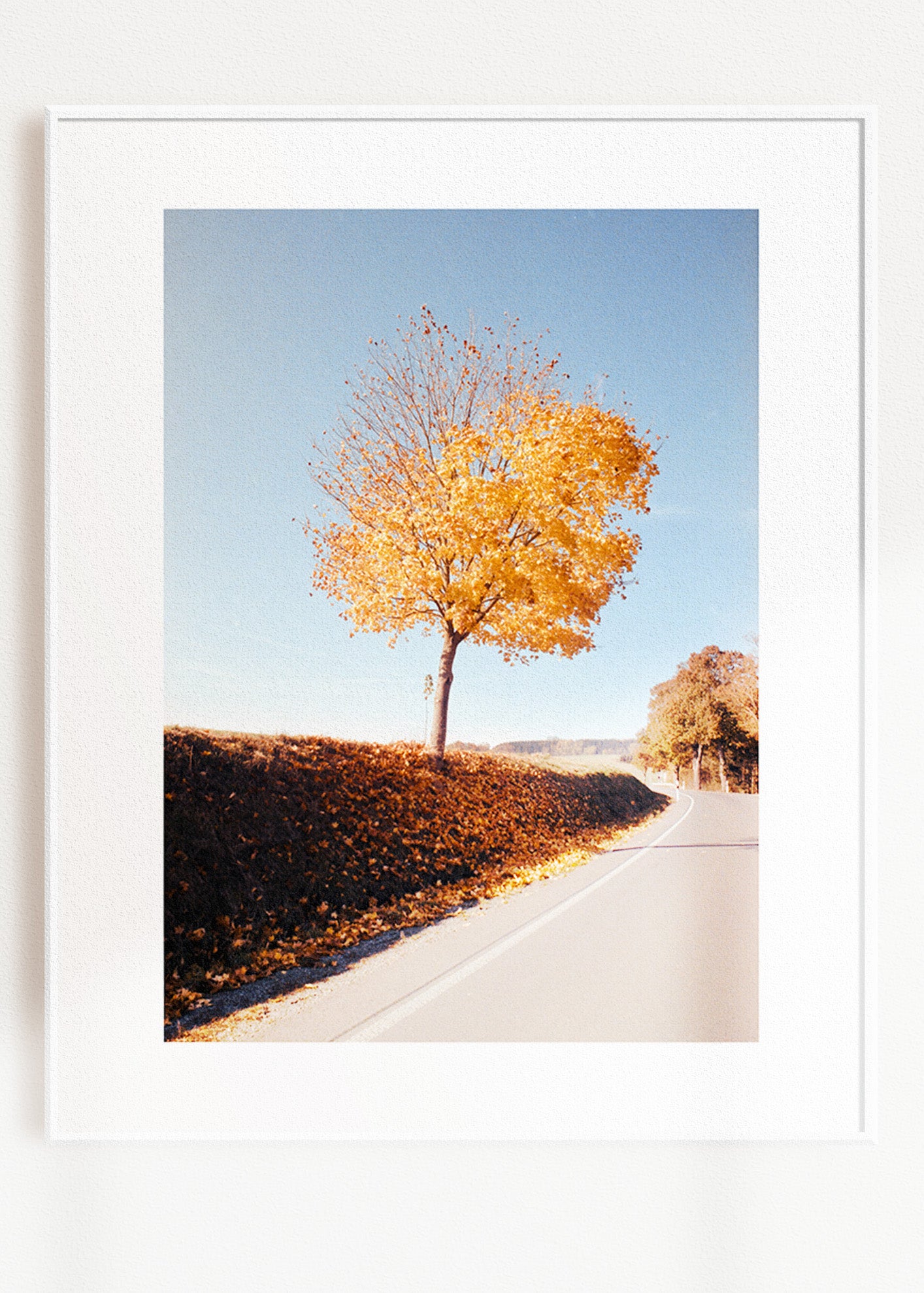 Gerahmter Kunstdruck "Herbstbaum"