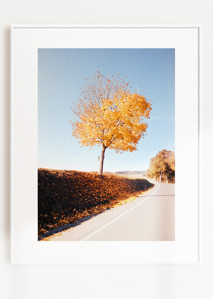Gerahmter Kunstdruck "Herbstbaum"