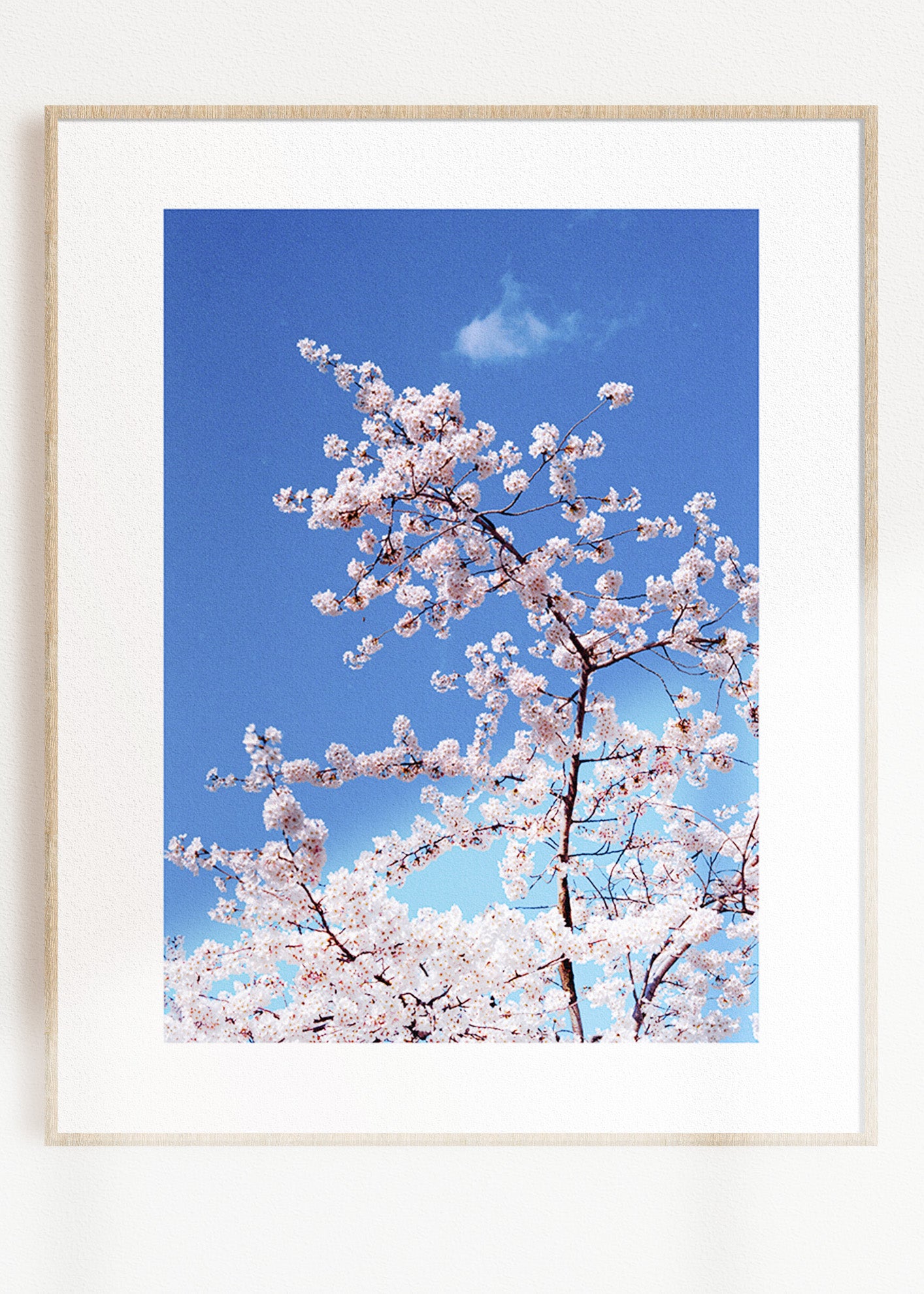 Gerahmter Kunstdruck "Blüte"