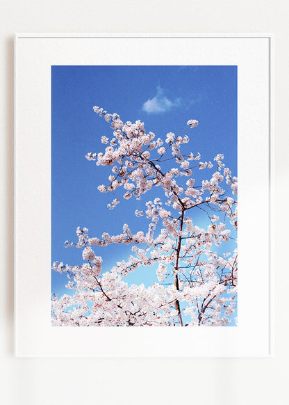 Gerahmter Kunstdruck "Blüte"