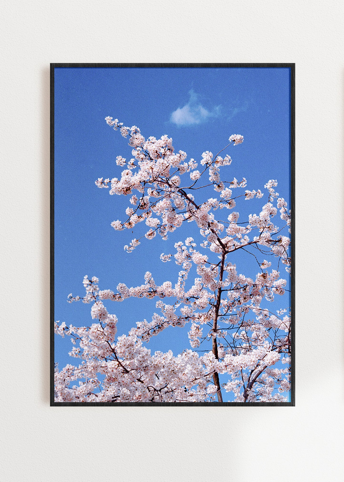 Gerahmter Kunstdruck "Blüte"