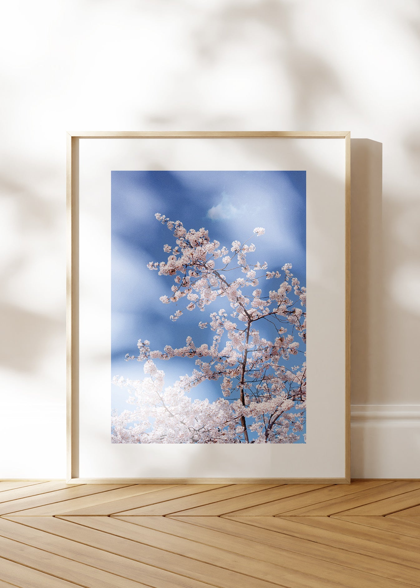 Gerahmter Kunstdruck "Blüte"