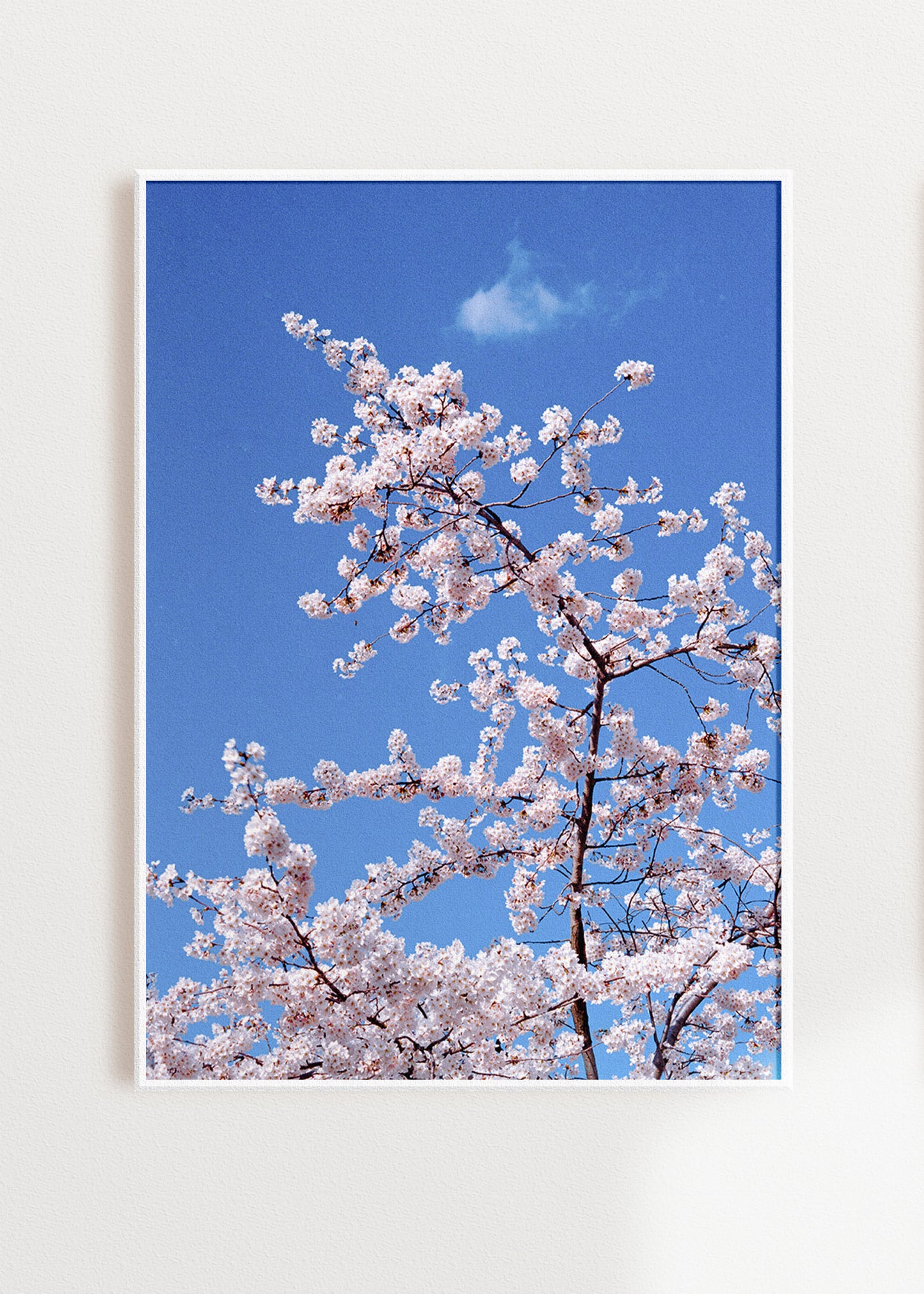 Gerahmter Kunstdruck "Blüte"