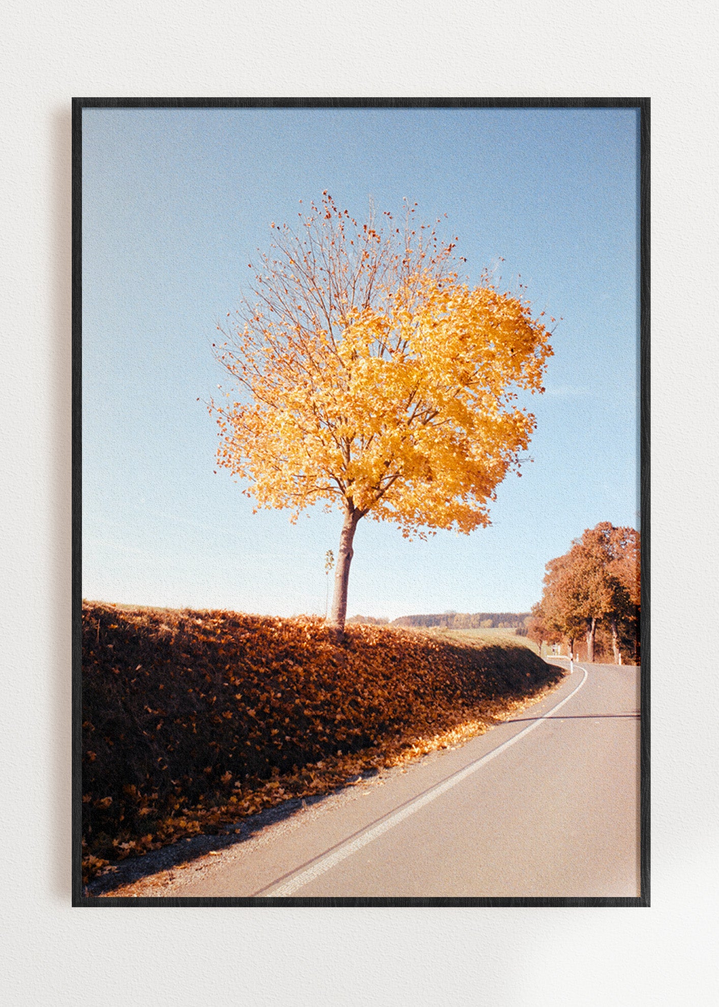 Gerahmter Kunstdruck "Herbstbaum"