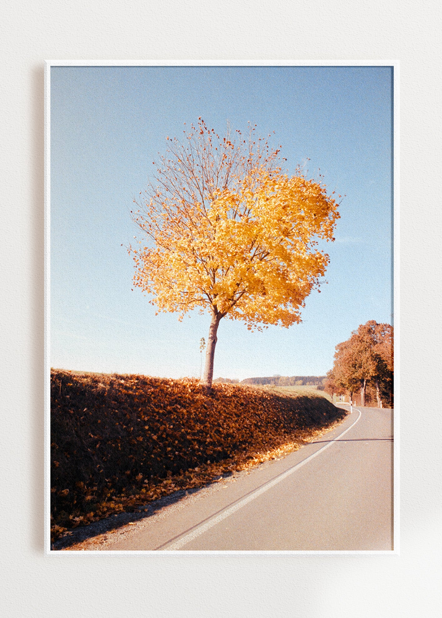 Gerahmter Kunstdruck "Herbstbaum"