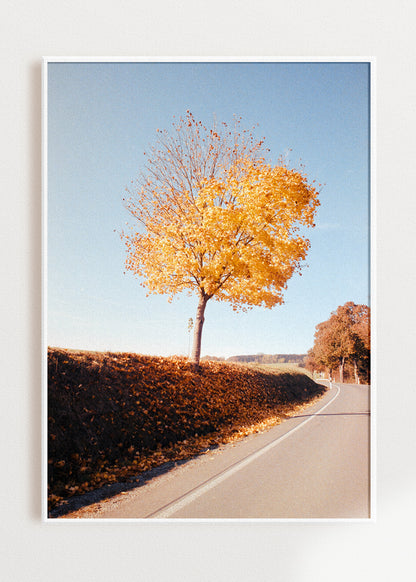 Gerahmter Kunstdruck "Herbstbaum"