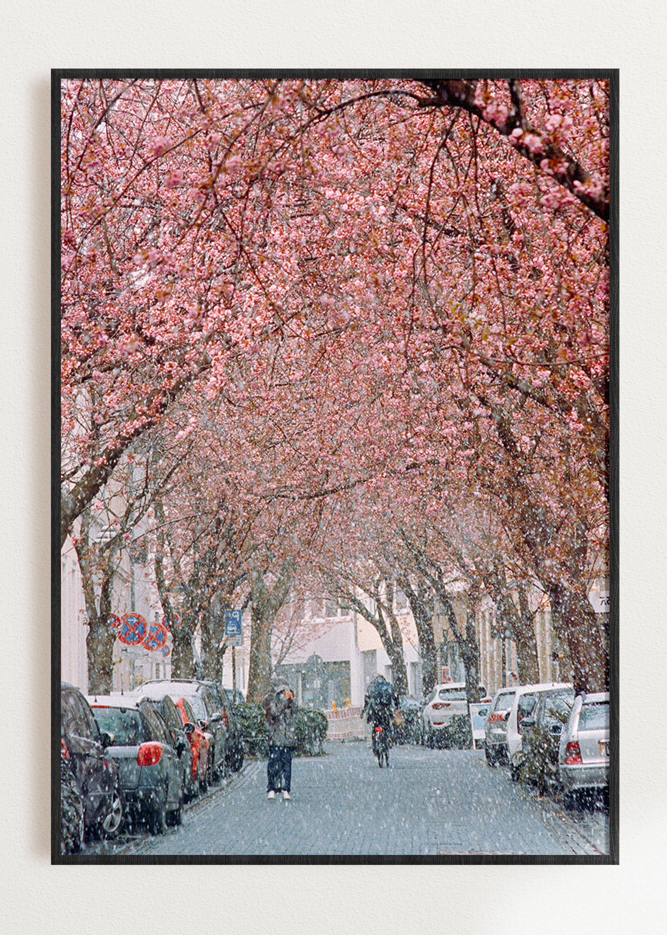 Gerahmter Kunstdruck "Kirschblüte Bonn 1"