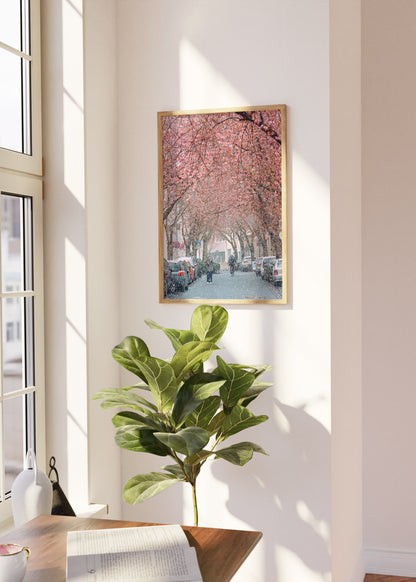 Gerahmter Kunstdruck "Kirschblüte Bonn 1"