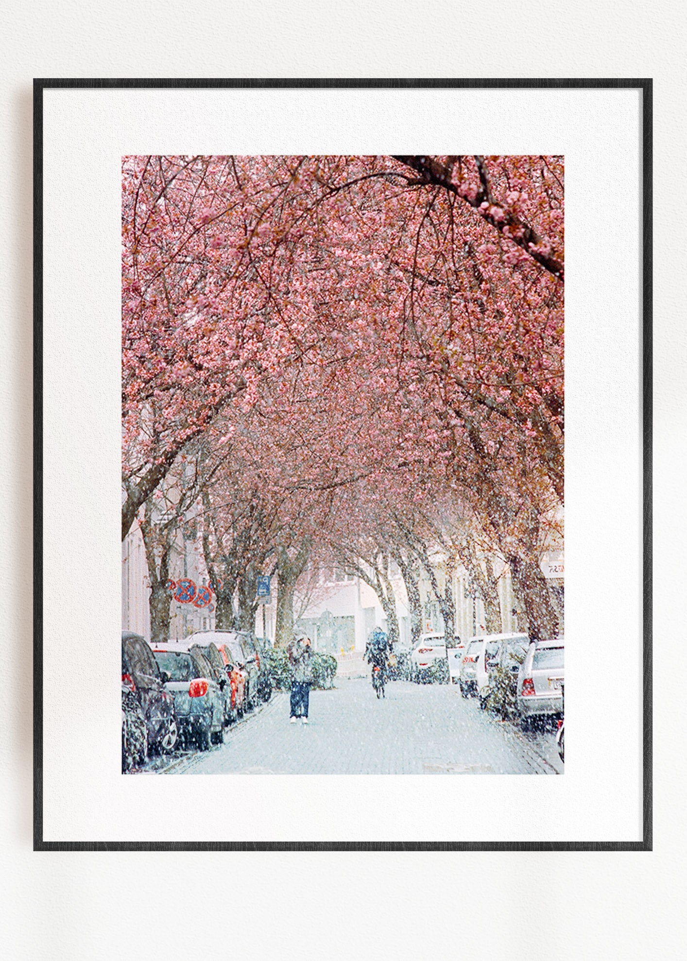Gerahmter Kunstdruck "Kirschblüte Bonn 1"