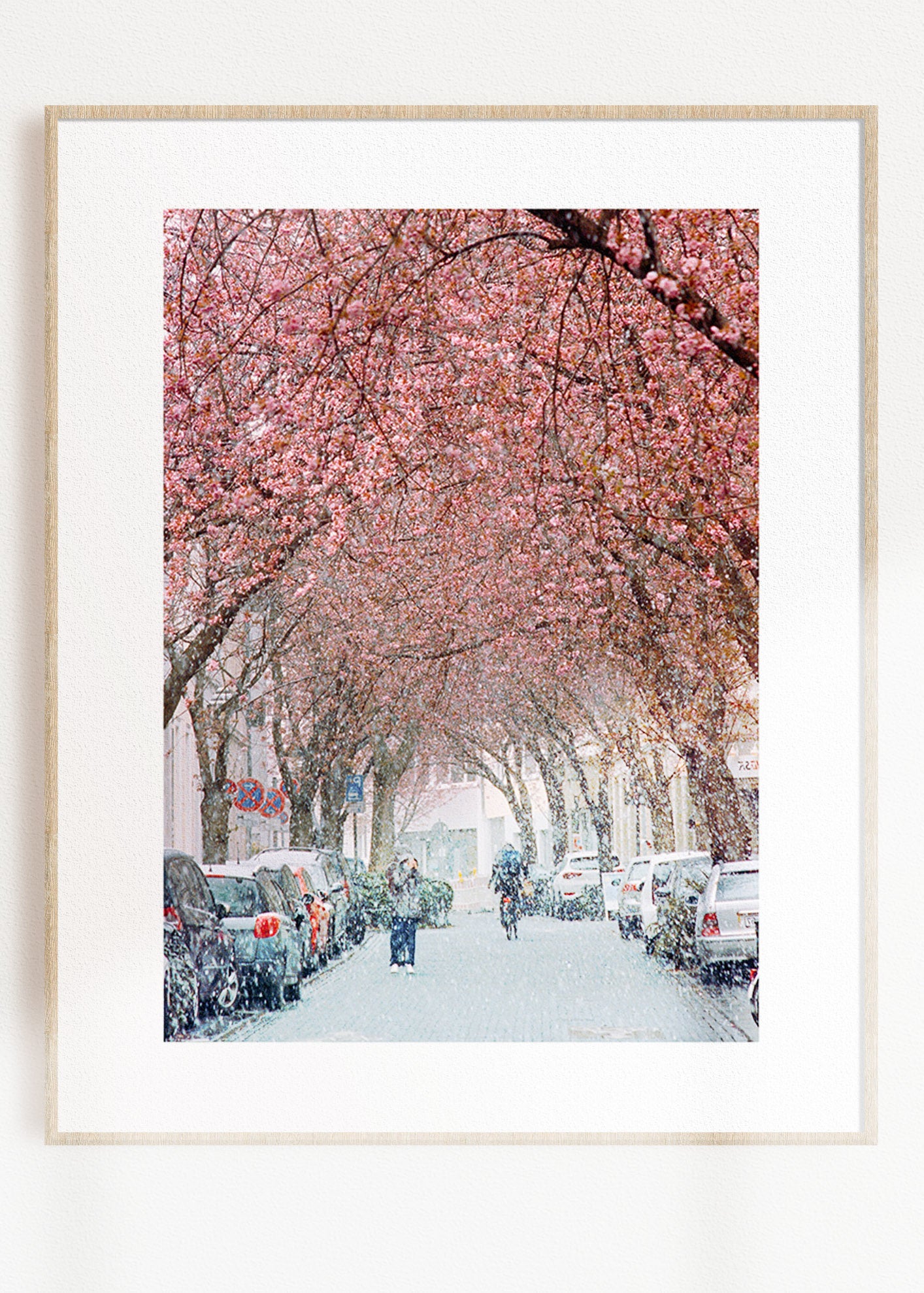 Gerahmter Kunstdruck "Kirschblüte Bonn 1"