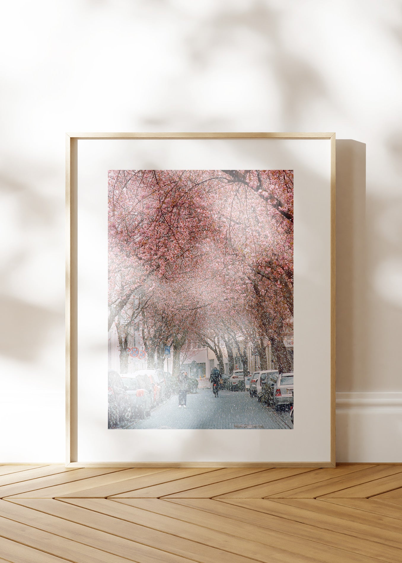 Gerahmter Kunstdruck "Kirschblüte Bonn 1"