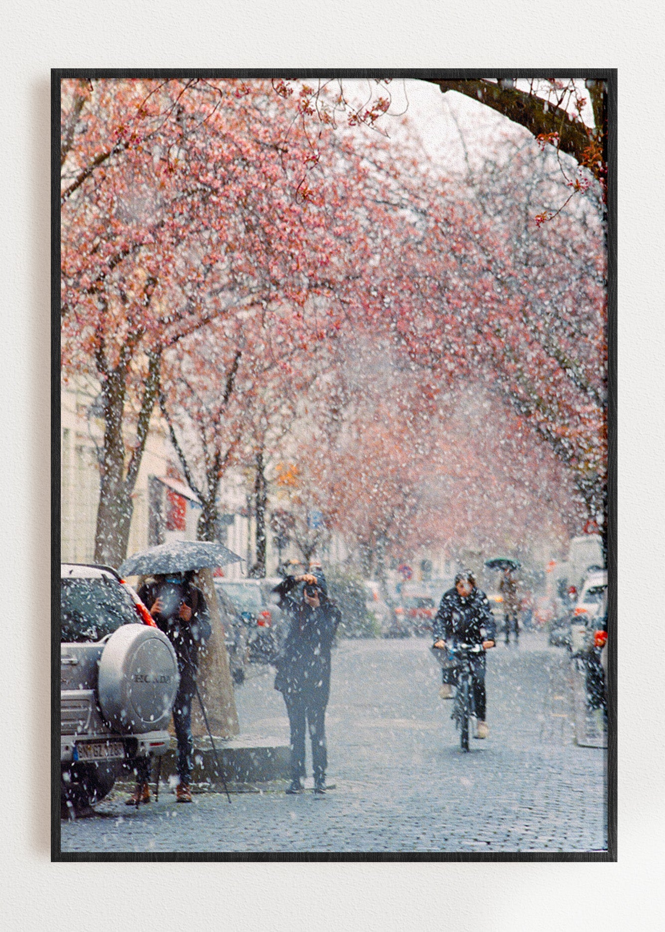 Gerahmter Kunstdruck "Kirschblüte Bonn 2"