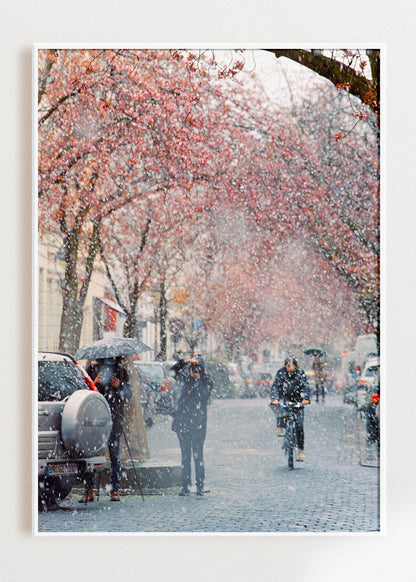 Gerahmter Kunstdruck "Kirschblüte Bonn 2"