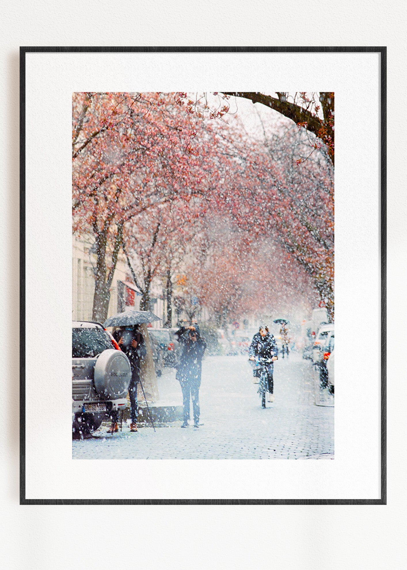 Gerahmter Kunstdruck "Kirschblüte Bonn 2"