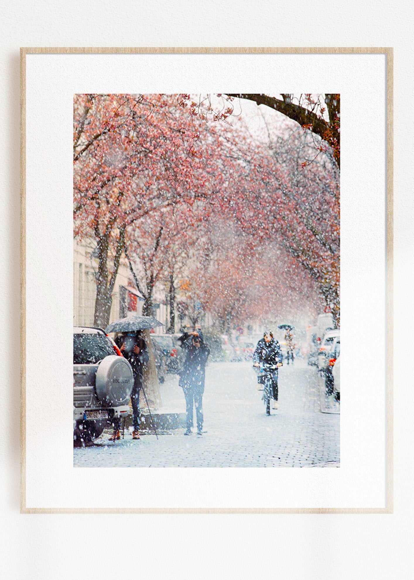 Gerahmter Kunstdruck "Kirschblüte Bonn 2"