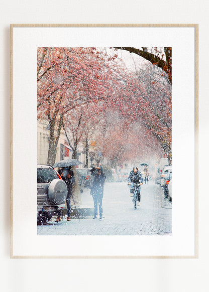 Gerahmter Kunstdruck "Kirschblüte Bonn 2"