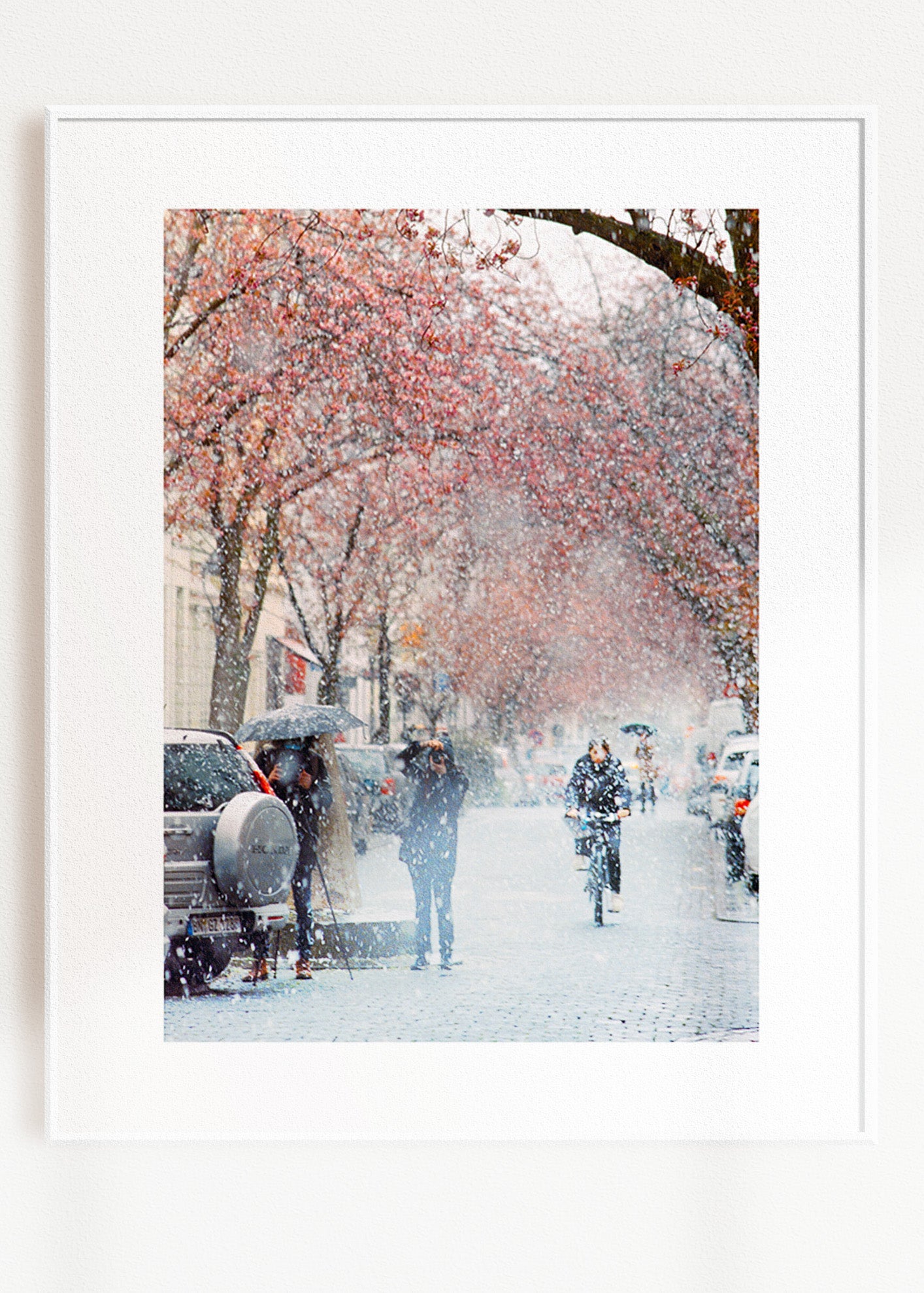 Gerahmter Kunstdruck "Kirschblüte Bonn 2"