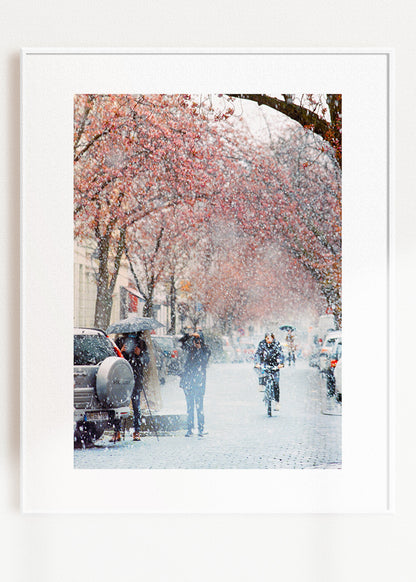 Gerahmter Kunstdruck "Kirschblüte Bonn 2"