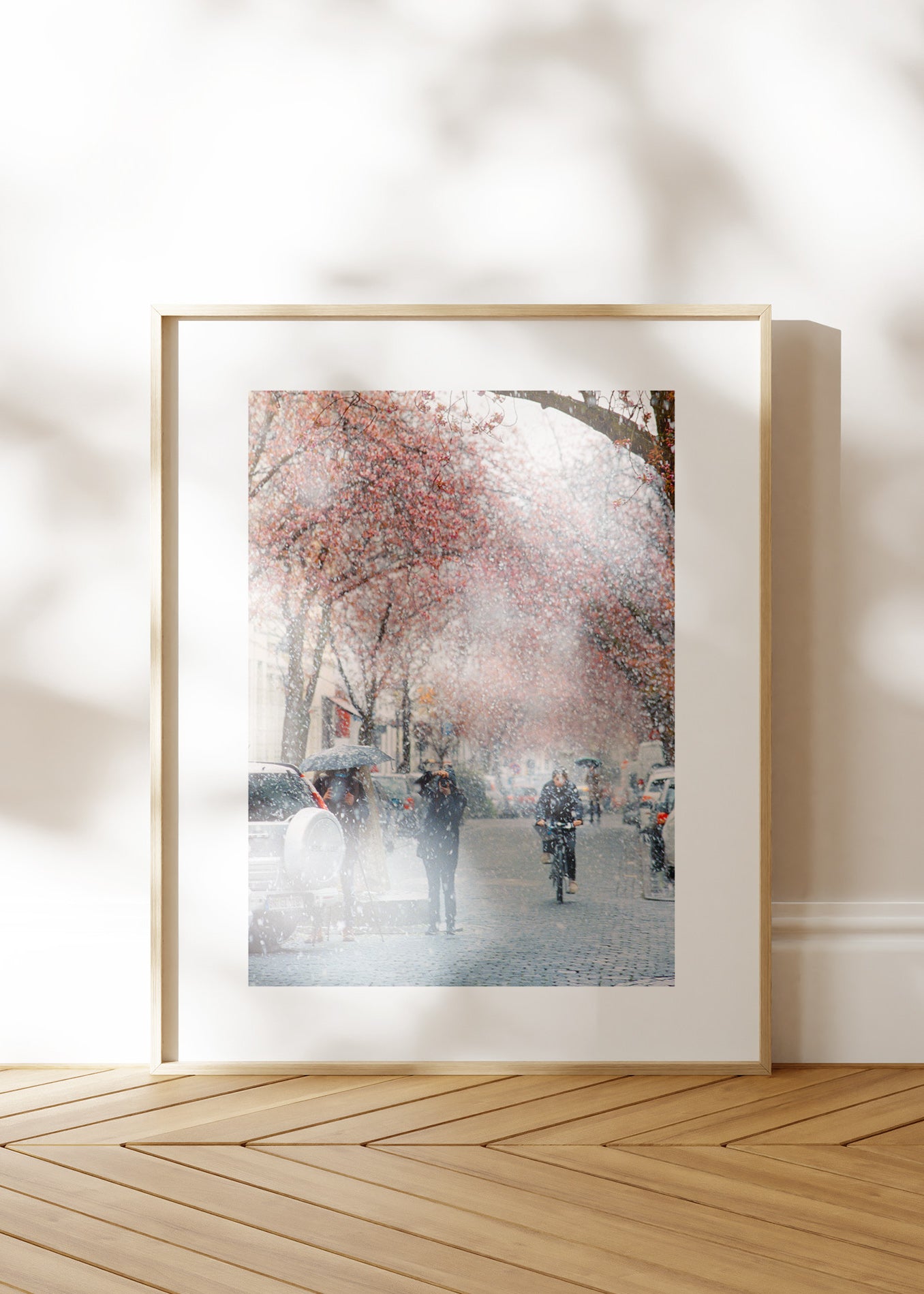 Gerahmter Kunstdruck "Kirschblüte Bonn 2"