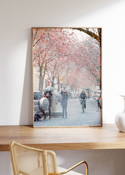 Gerahmter Kunstdruck "Kirschblüte Bonn 2"