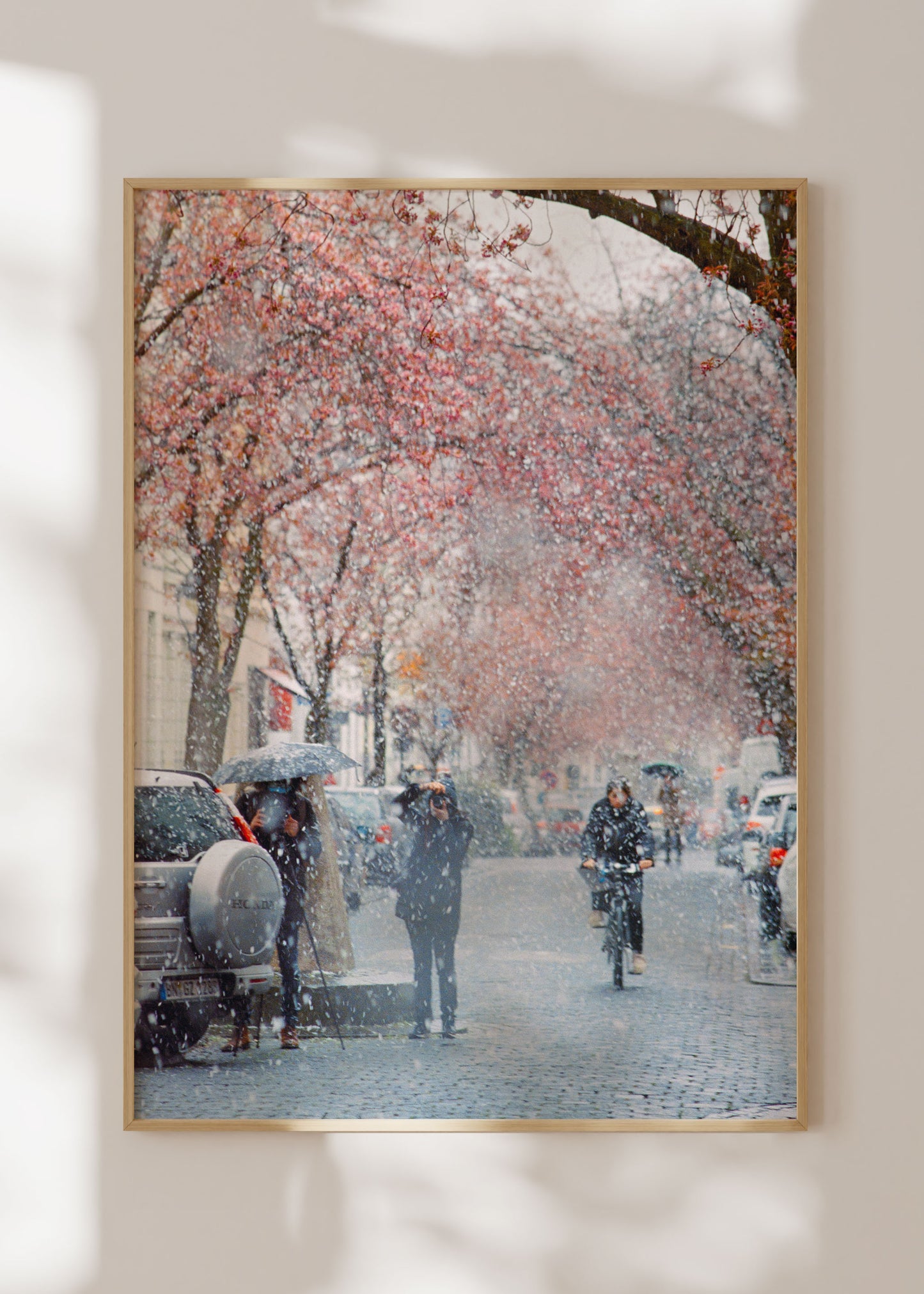 Gerahmter Kunstdruck "Kirschblüte Bonn 2"