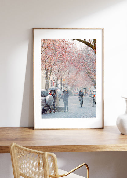 Gerahmter Kunstdruck "Kirschblüte Bonn 2"