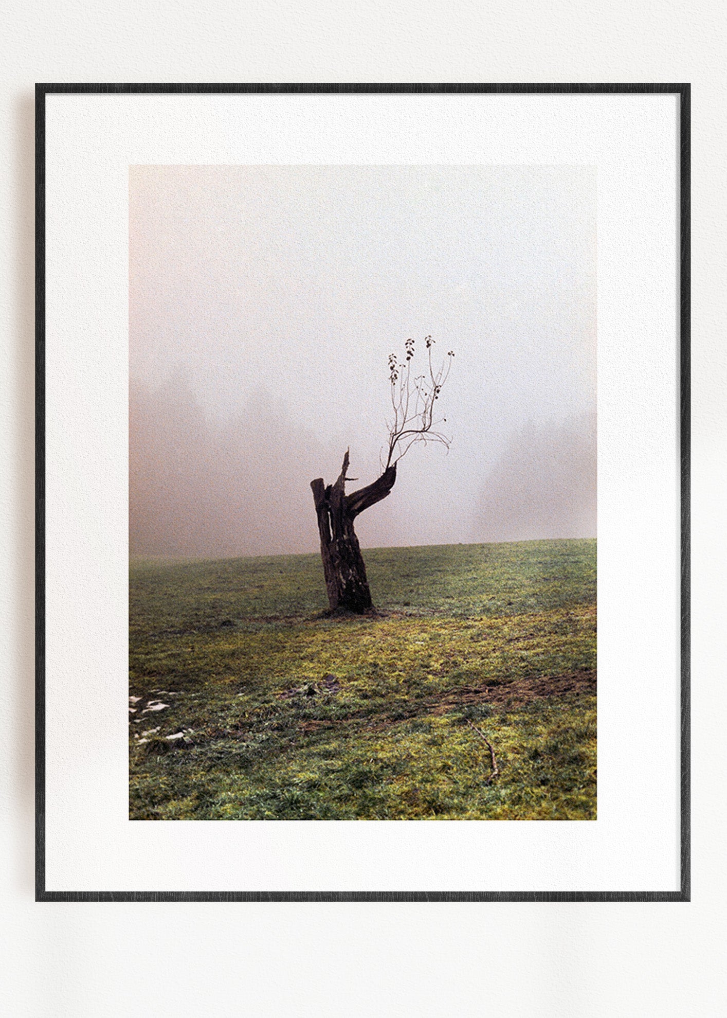 Gerahmter Kunstdruck "Baum"