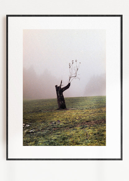 Gerahmter Kunstdruck "Baum"