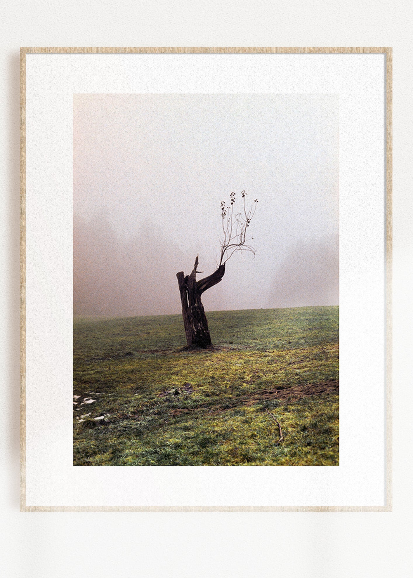Gerahmter Kunstdruck "Baum"