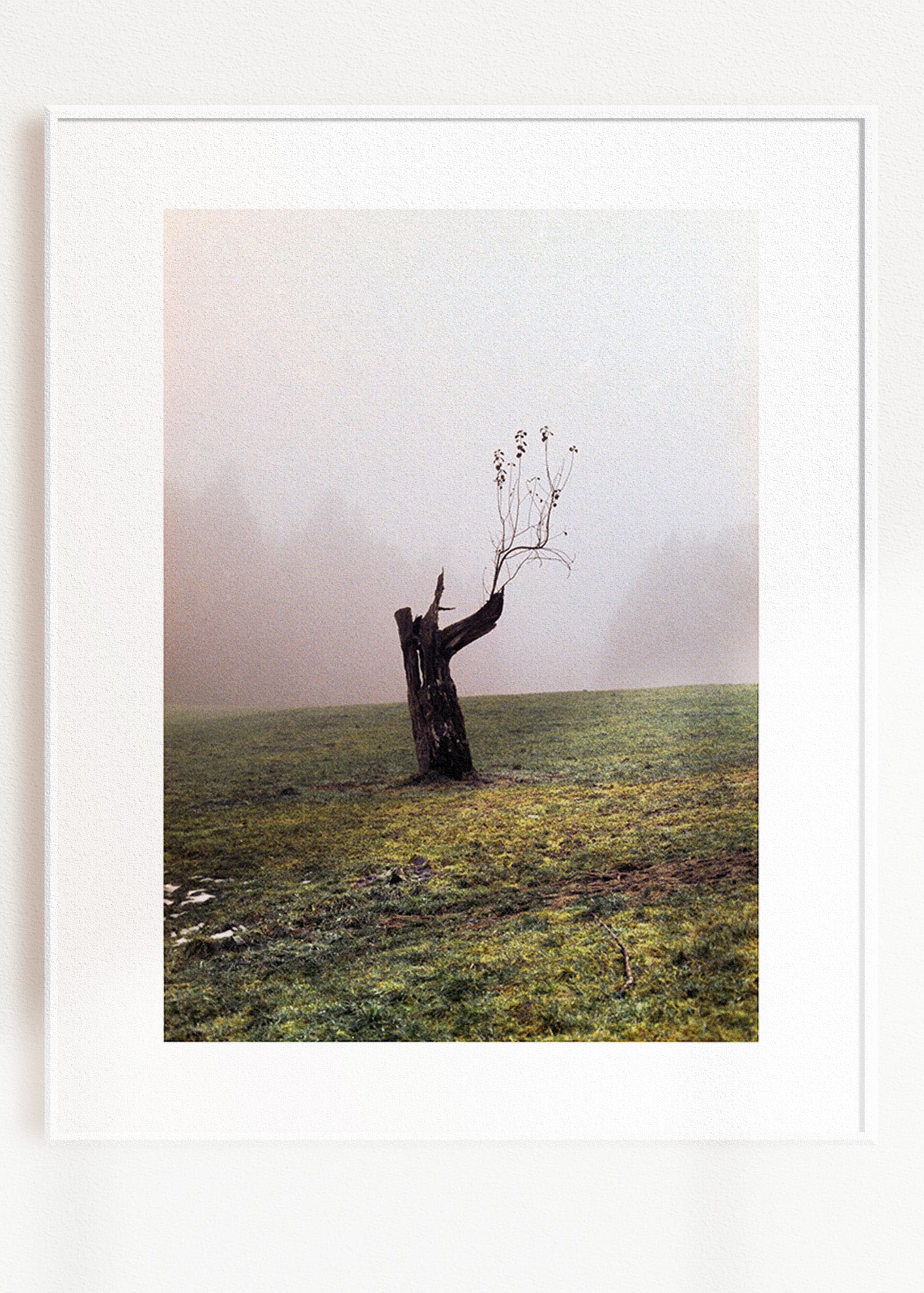 Gerahmter Kunstdruck "Baum"
