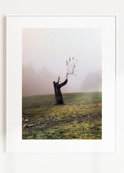 Gerahmter Kunstdruck "Baum"