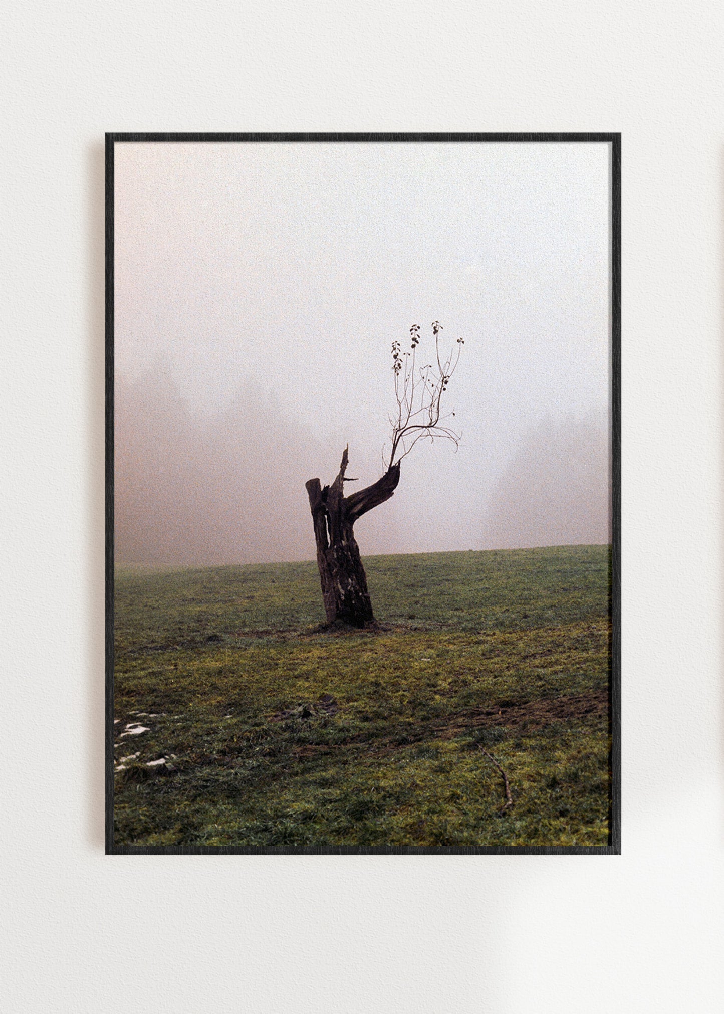 Gerahmter Kunstdruck "Baum"