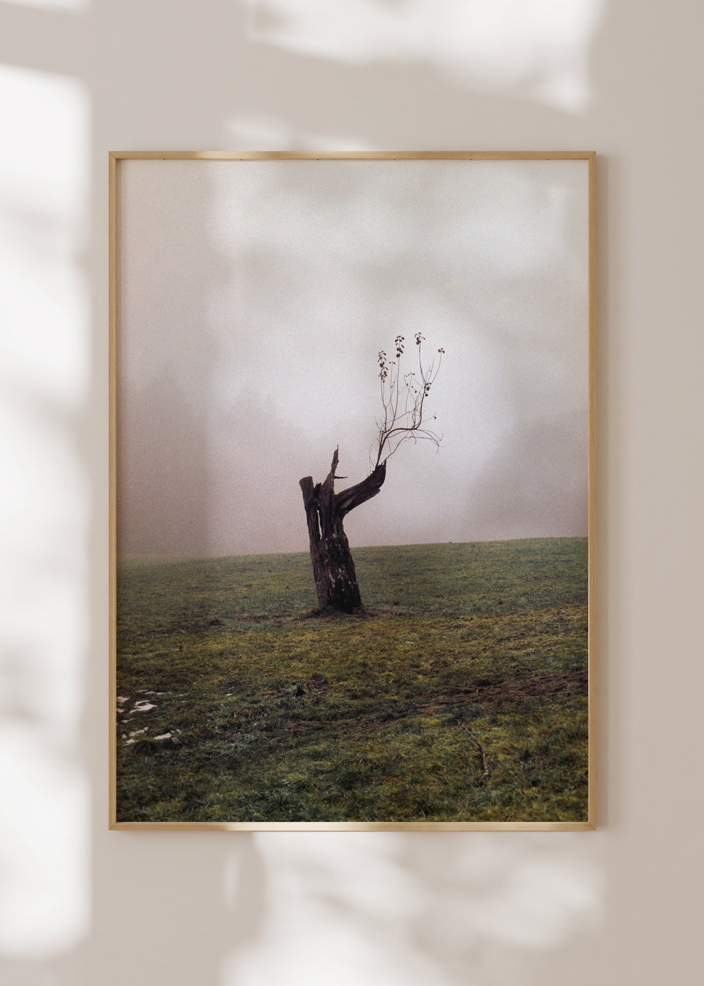 Gerahmter Kunstdruck "Baum"