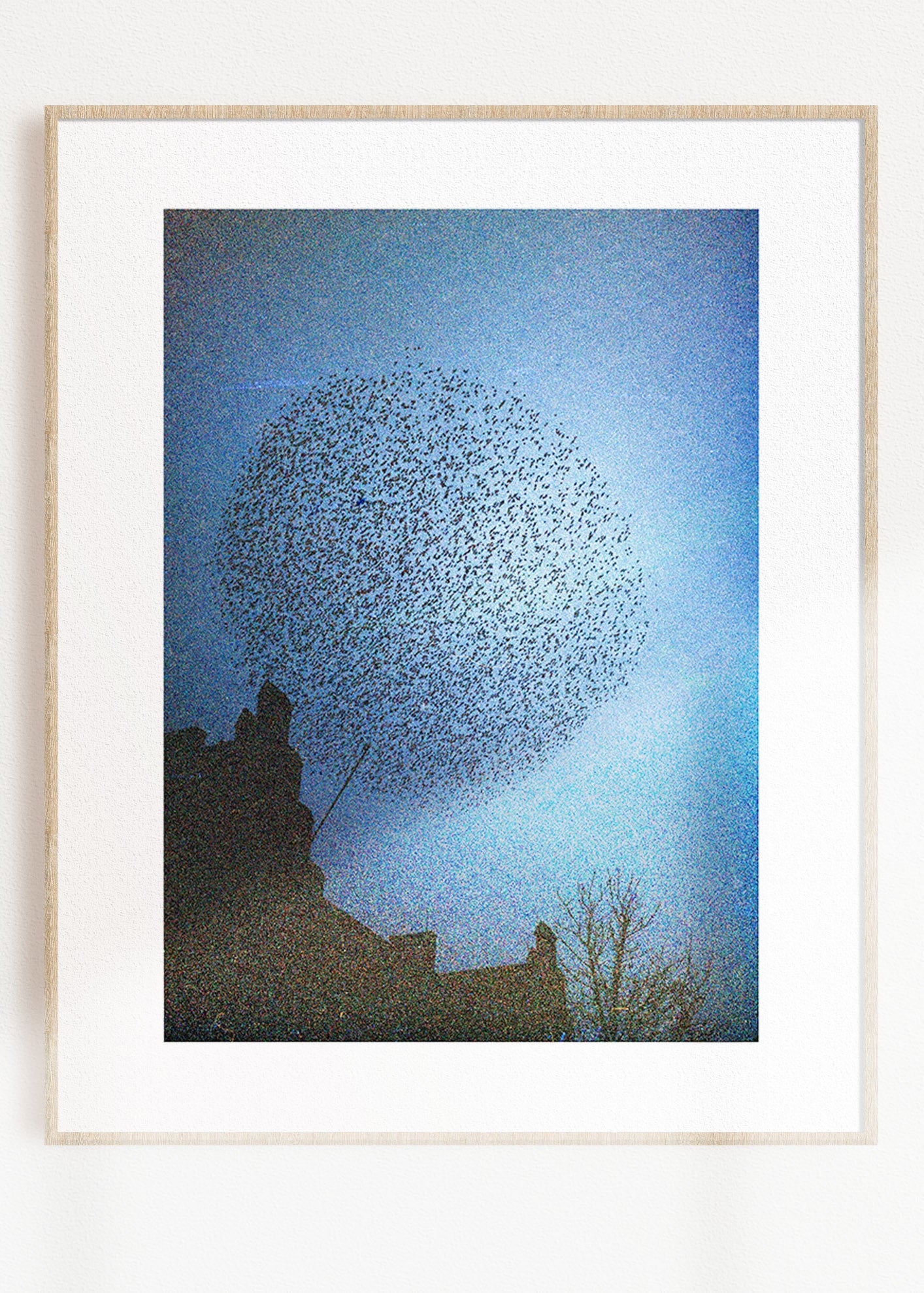 Gerahmter Kunstdruck "Murmuration"