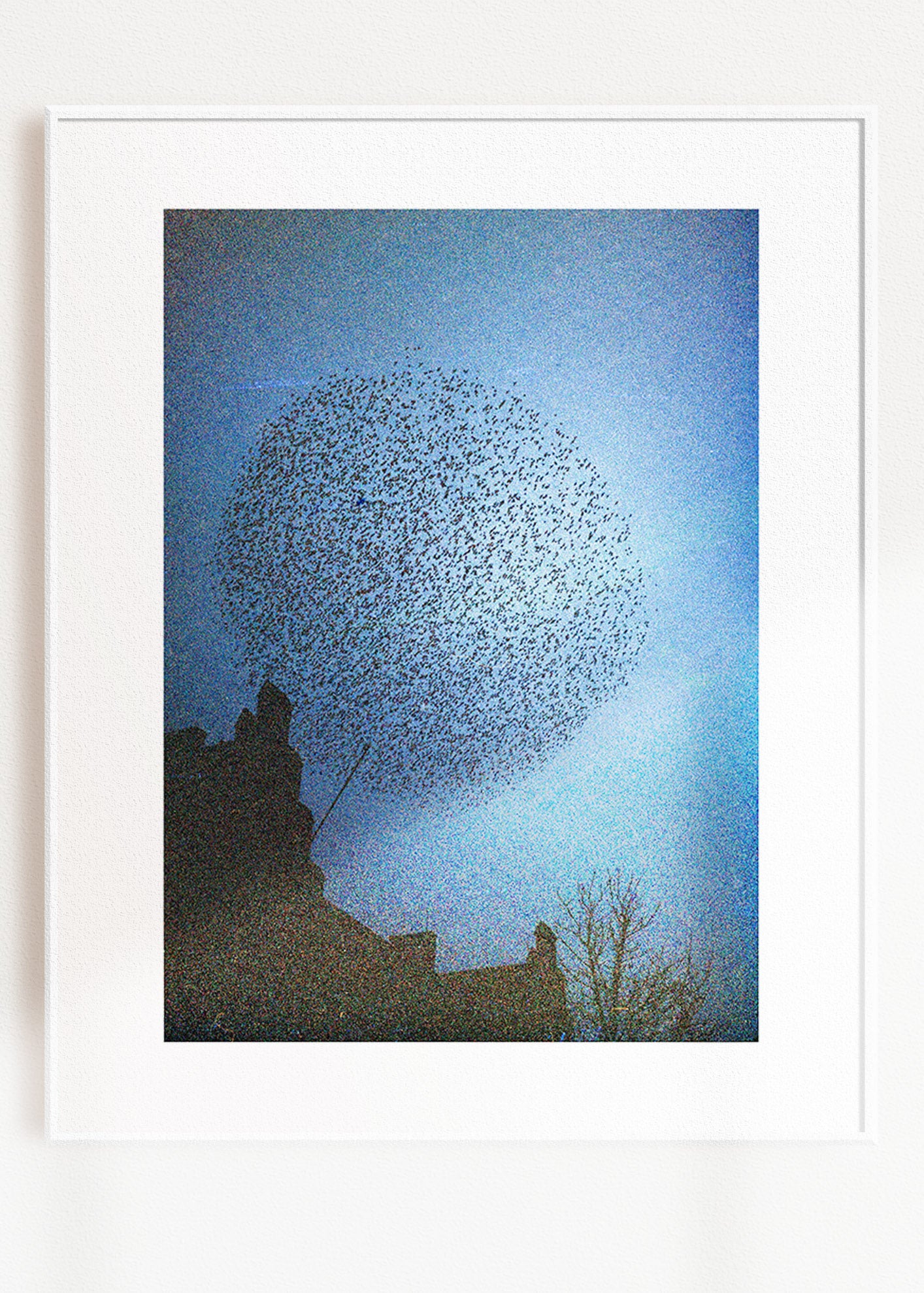 Gerahmter Kunstdruck "Murmuration"