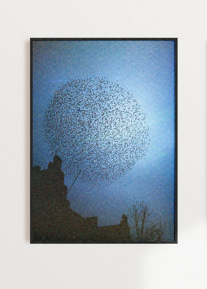 Gerahmter Kunstdruck "Murmuration"